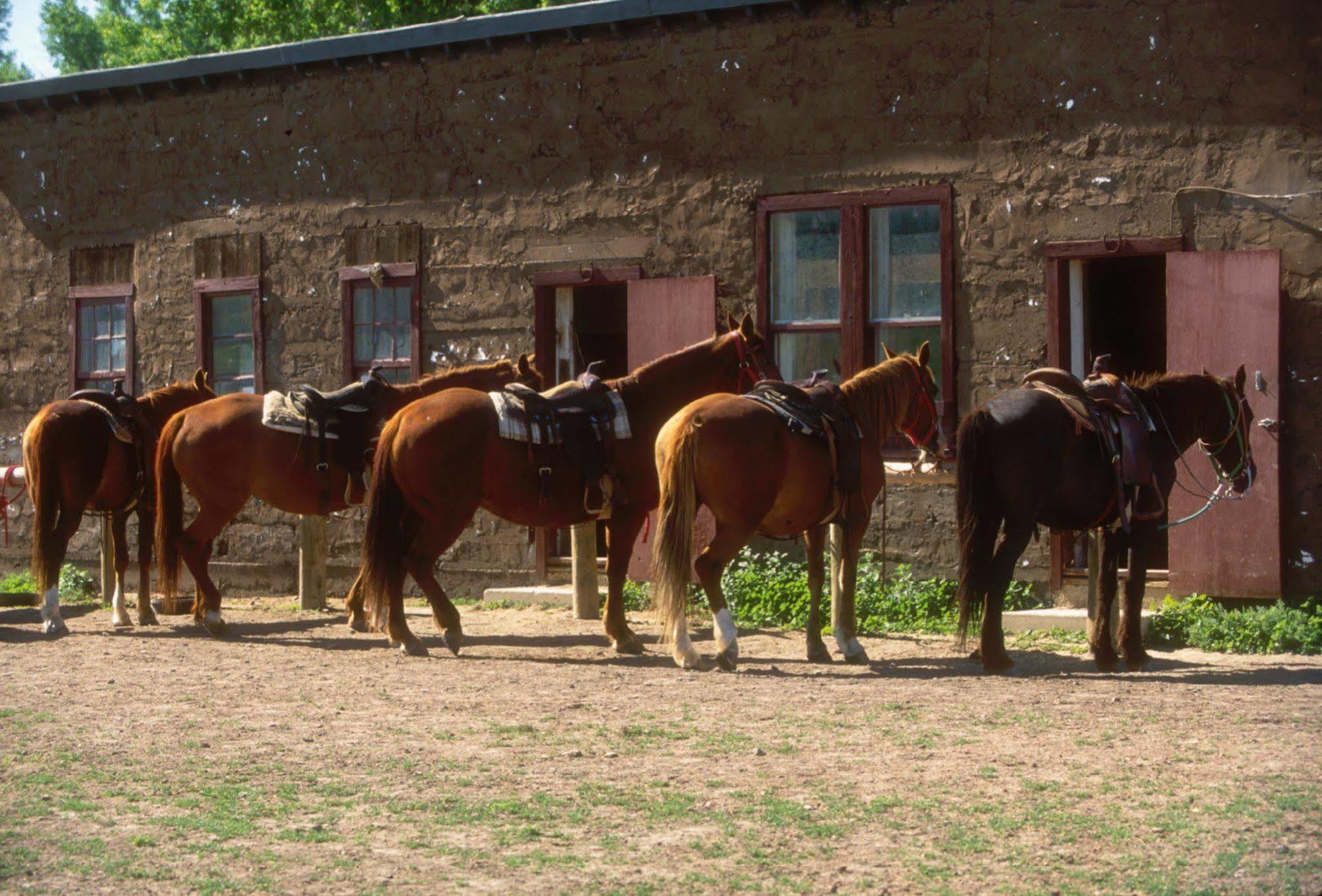 The Ranch At Ucross Hotel Екстериор снимка